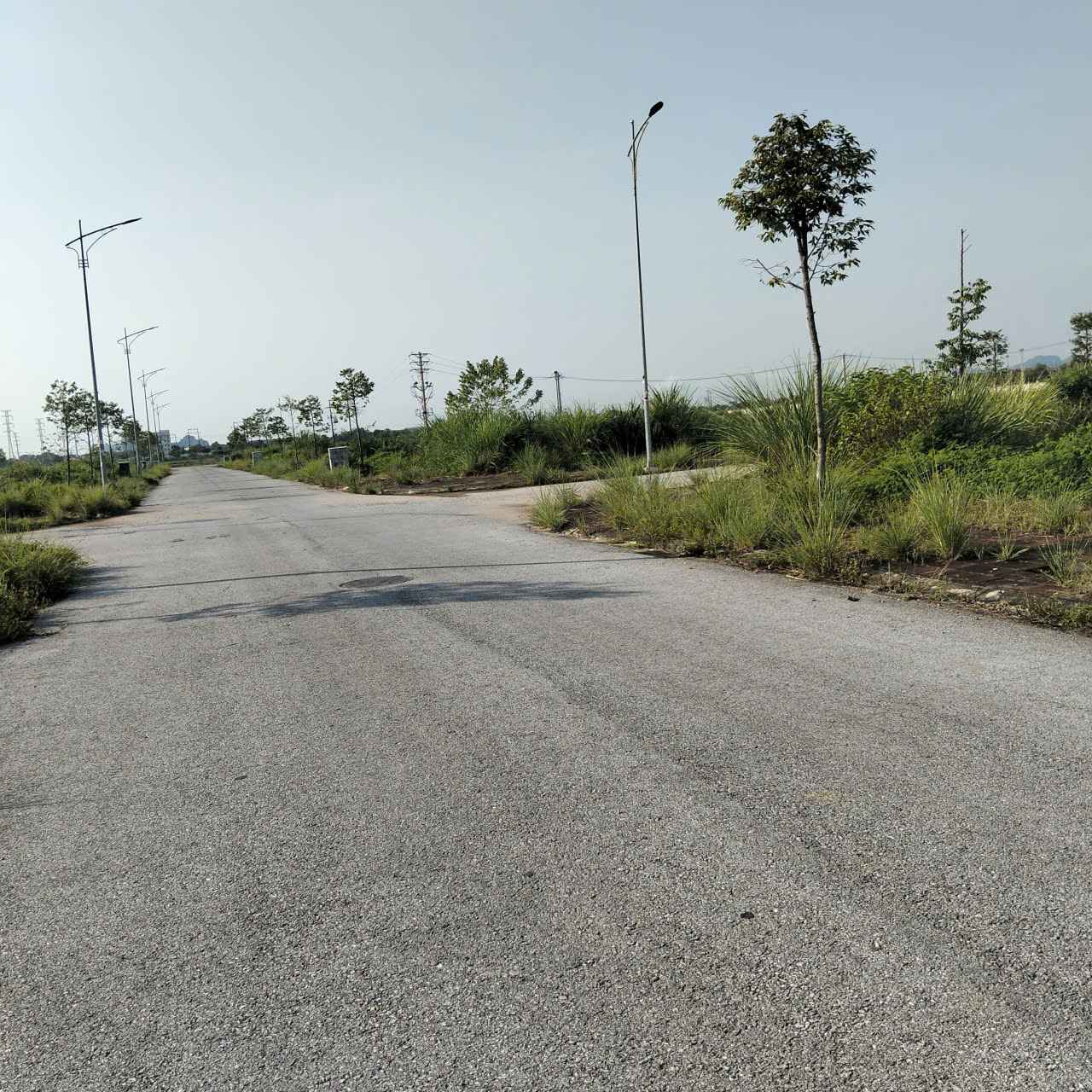 Nhà đất Thanh Hóa - Nhadat36.com-hinh-anh-z6910122448398_568c59022dfd7d6a86657521dc2fe9bd