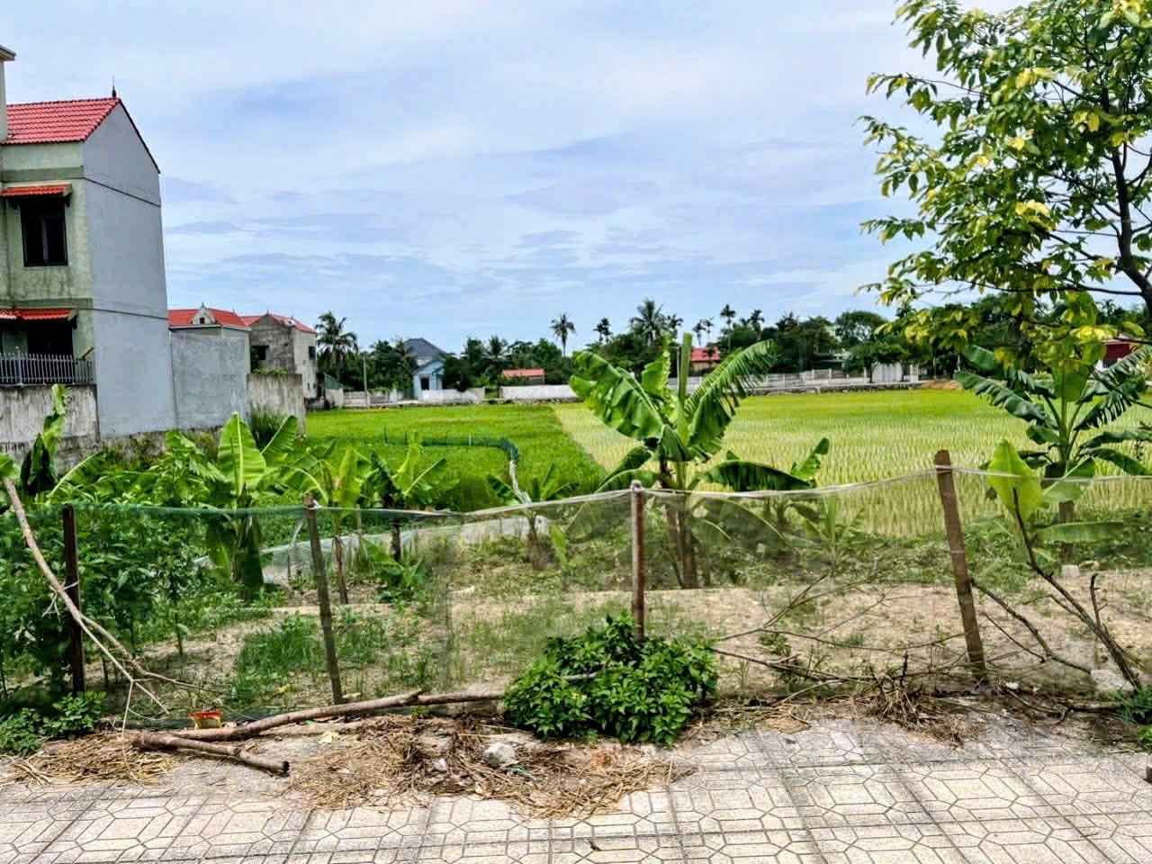 Nhà đất Thanh Hóa - Nhadat36.com-hinh-anh-th_img_1780563465480_o46r92