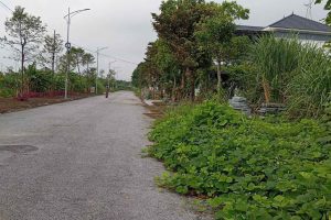 Nhà đất Thanh Hóa - Nhadat36.com-hinh-anh-mbqh 725