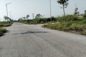 Nhà đất Thanh Hóa - Nhadat36.com-hinh-anh-z6910122448398_568c59022dfd7d6a86657521dc2fe9bd