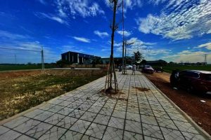 Nhà đất Thanh Hóa - Nhadat36.com-hinh-anh-z6935025061664_69a8f7978d8673928478902a26f214f1
